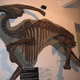 Image for article titled 16-foot dinosaur tail unearthed in Mexico is in perfect condition